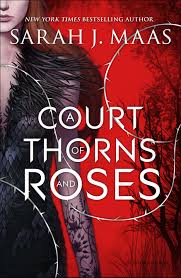 A court of Thorns